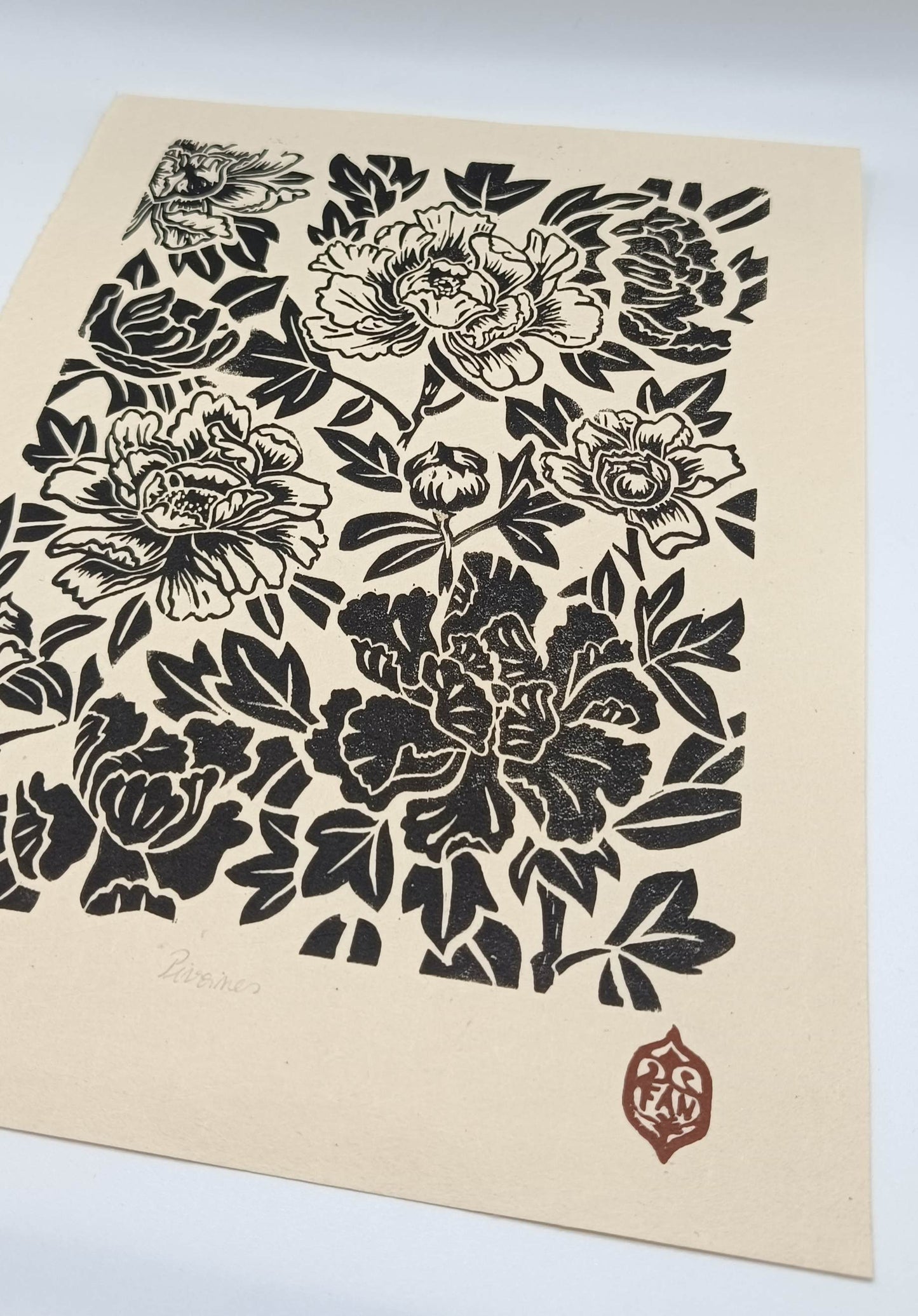 Pivoines