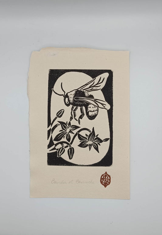 Bourdon et Bourrache