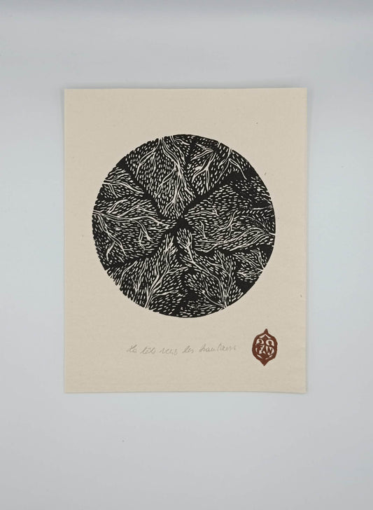 La tête vers les hauteurs