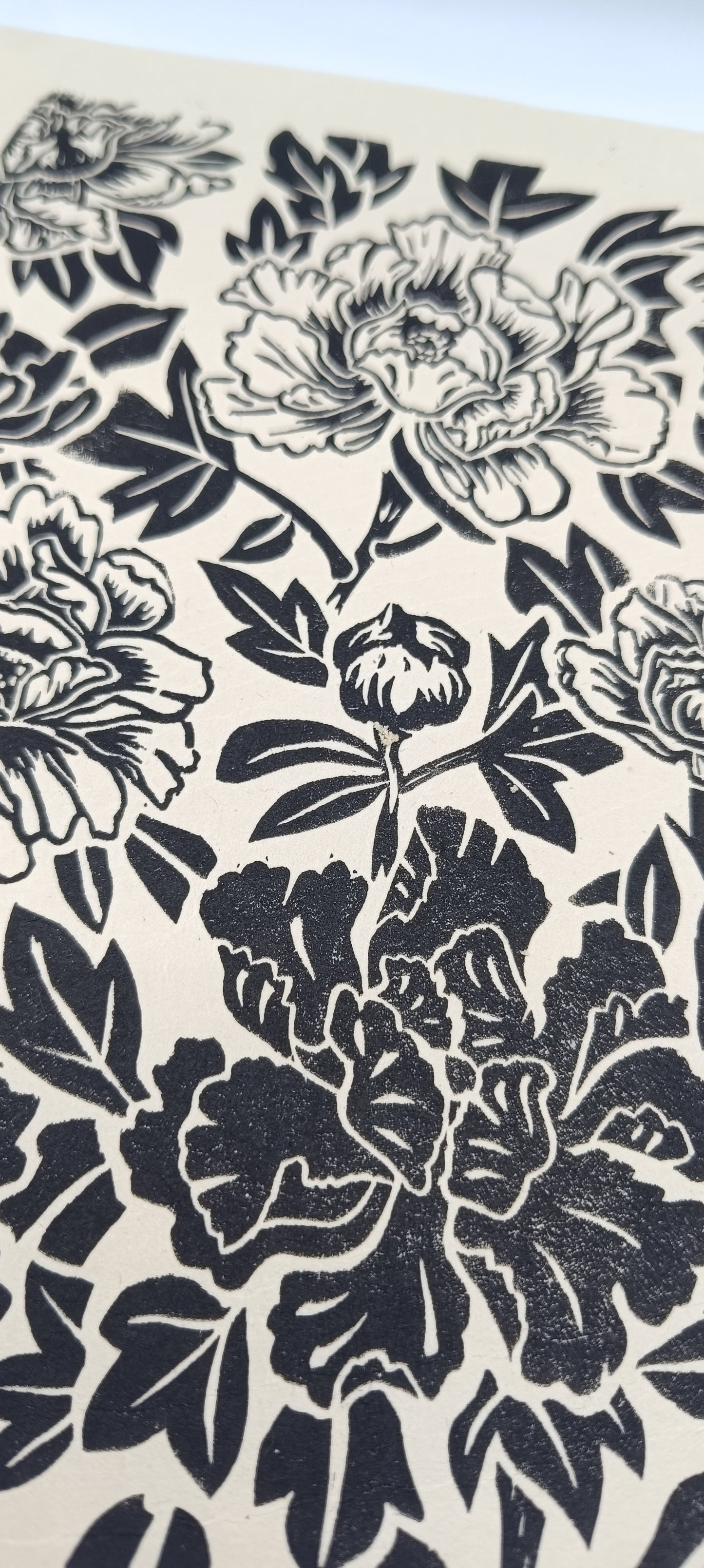 Pivoines