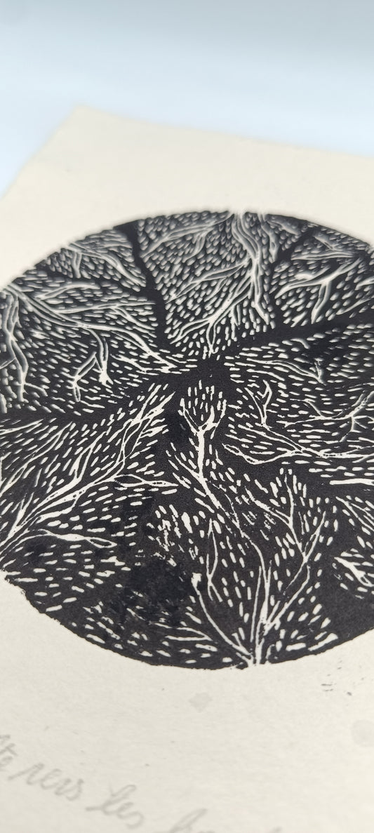 La tête vers les hauteurs